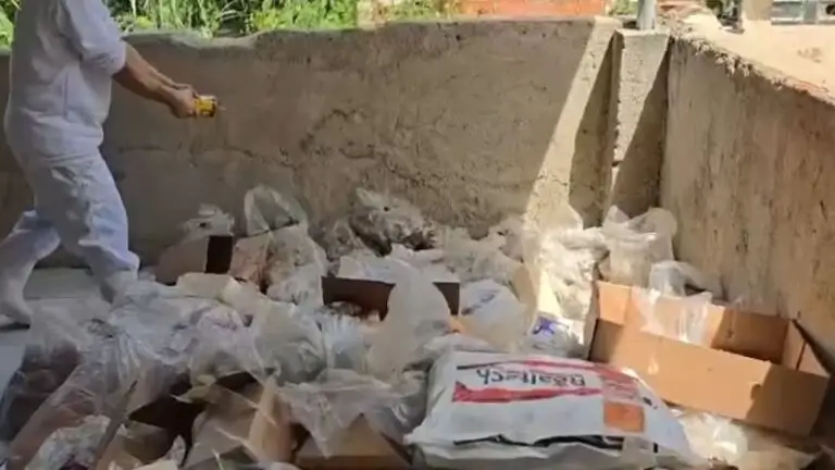 alimentos estragados na Pavuna