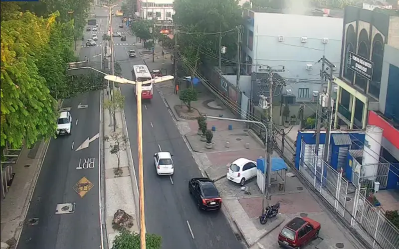 Queda de Árvore em BRT