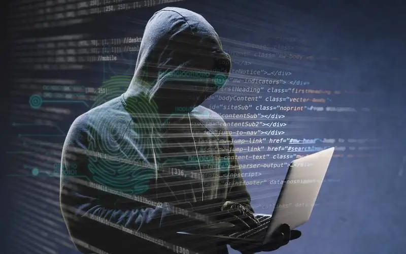 Workshop Estadual de Combate às Fraudes Digitais