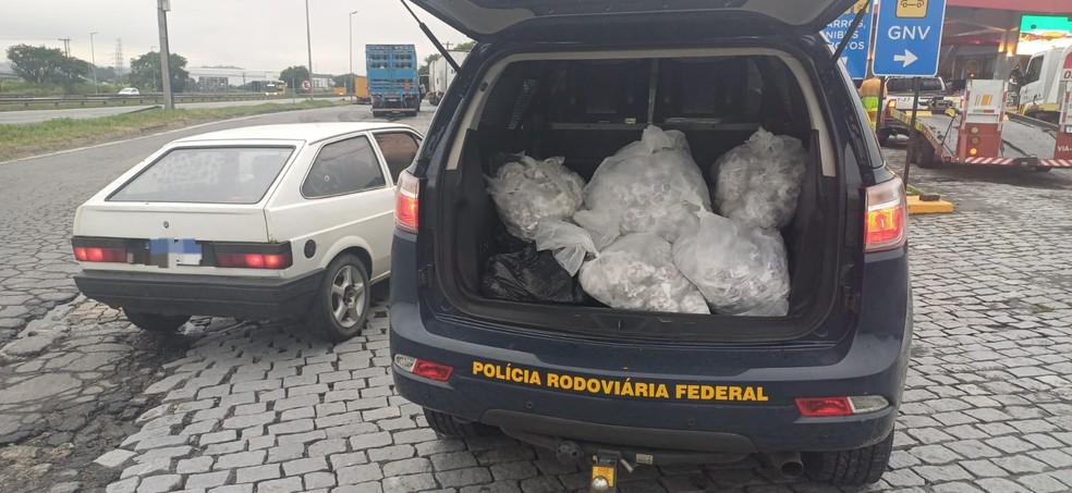 Drogas Apreendidas na Via Dutra