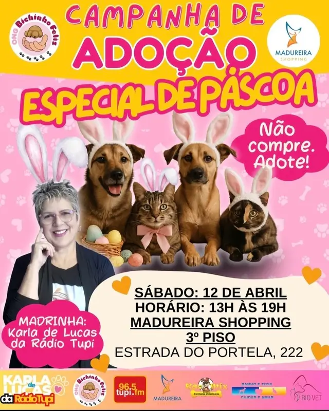 Adoção de Animais em Madureira