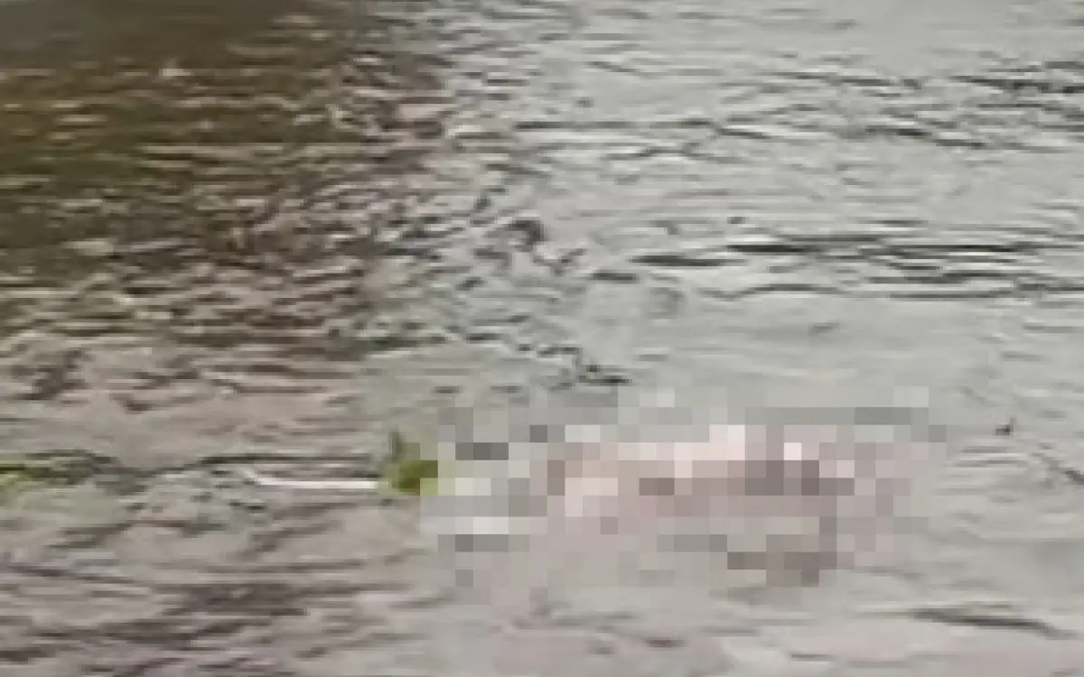 Corpo boiando no Rio Guandu
