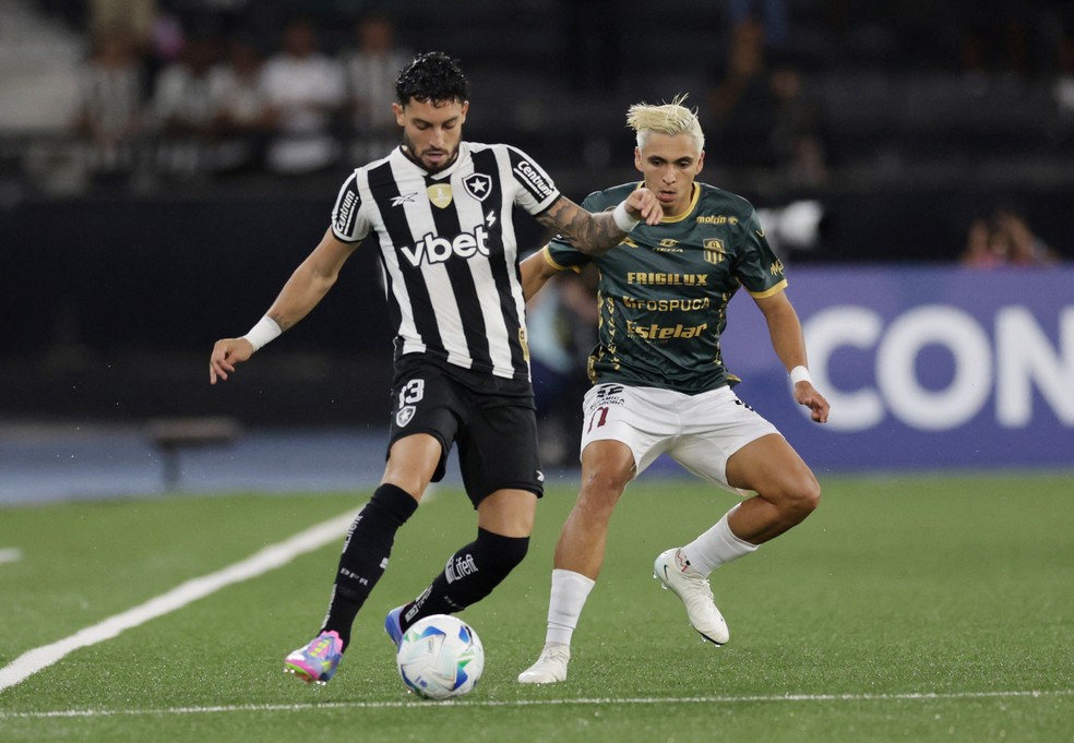 Botafogo e Palmeiras em 2025