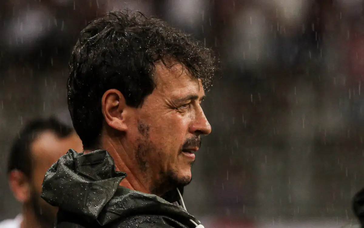Fernando Diniz