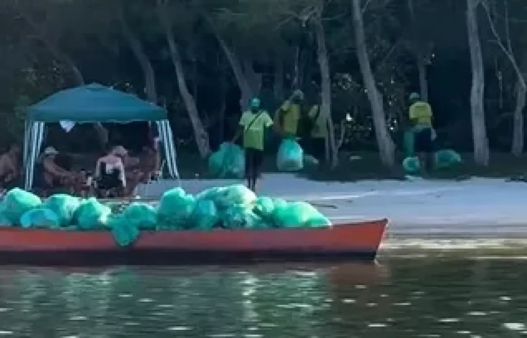 Limpeza da Ilha do japonês