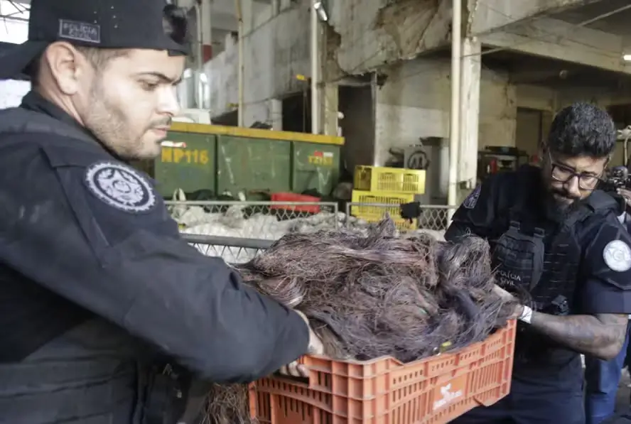 Policiais retiram fios de cobre de um galpão