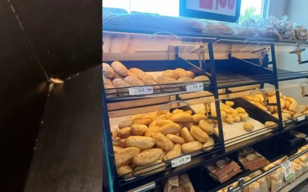 Padaria Interditada pela Vigilância Sanitária