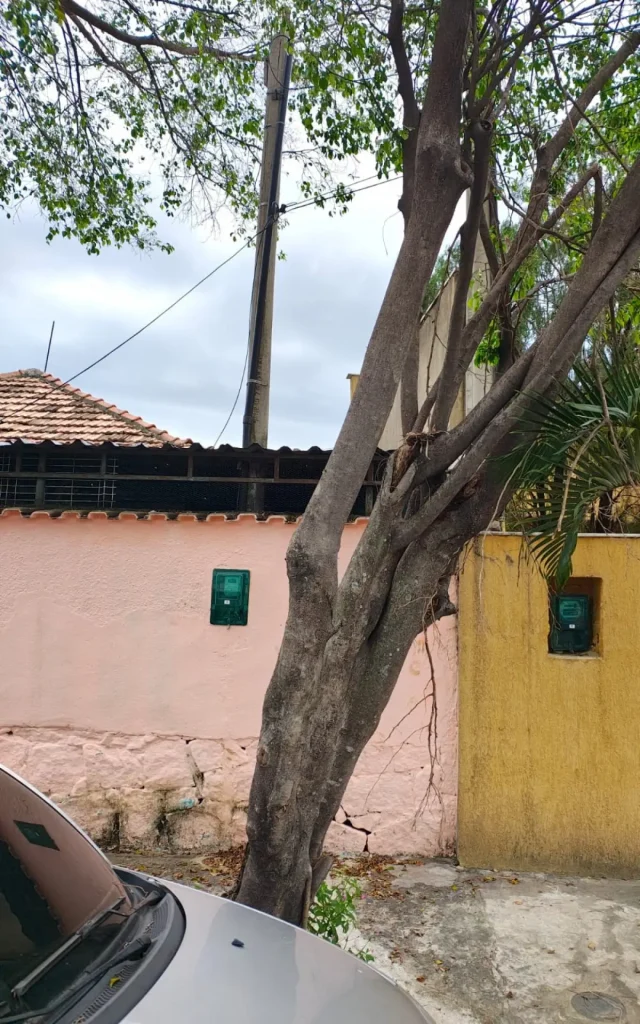 Árvore Caida em Oswaldo Cruz