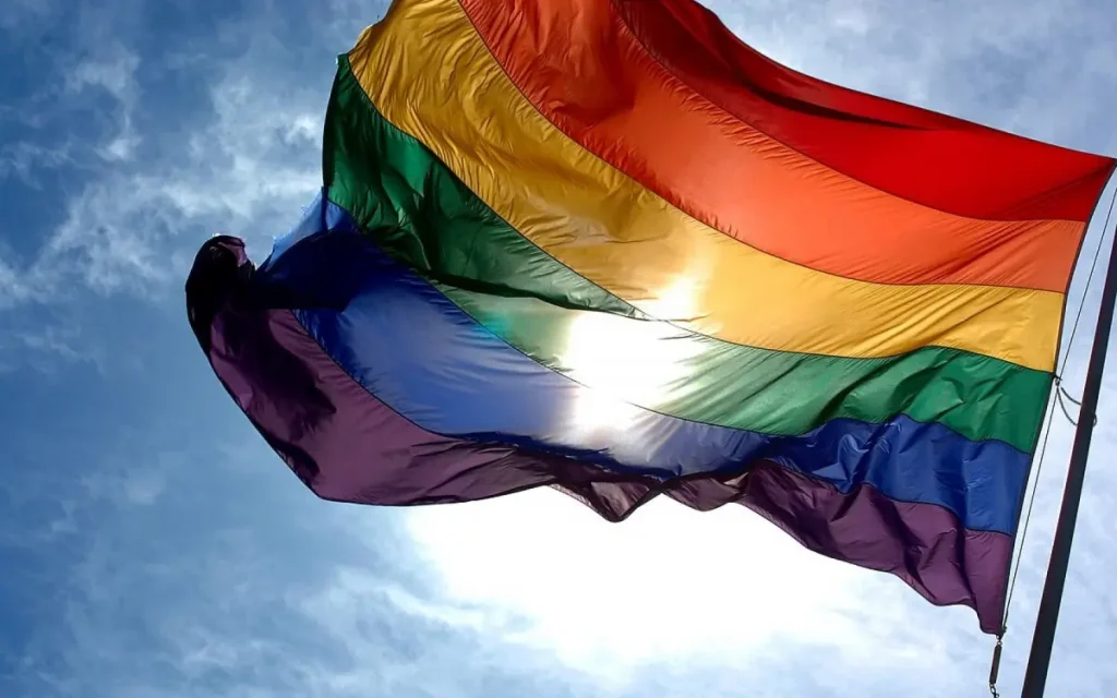 Bandeira LGBTQIA-PN+