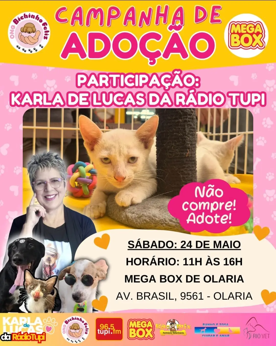 Campanha de Adoção em olaria