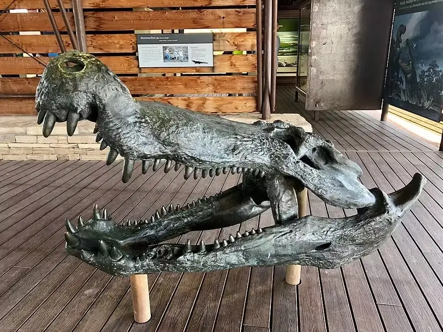 Crocodilo giagntestco