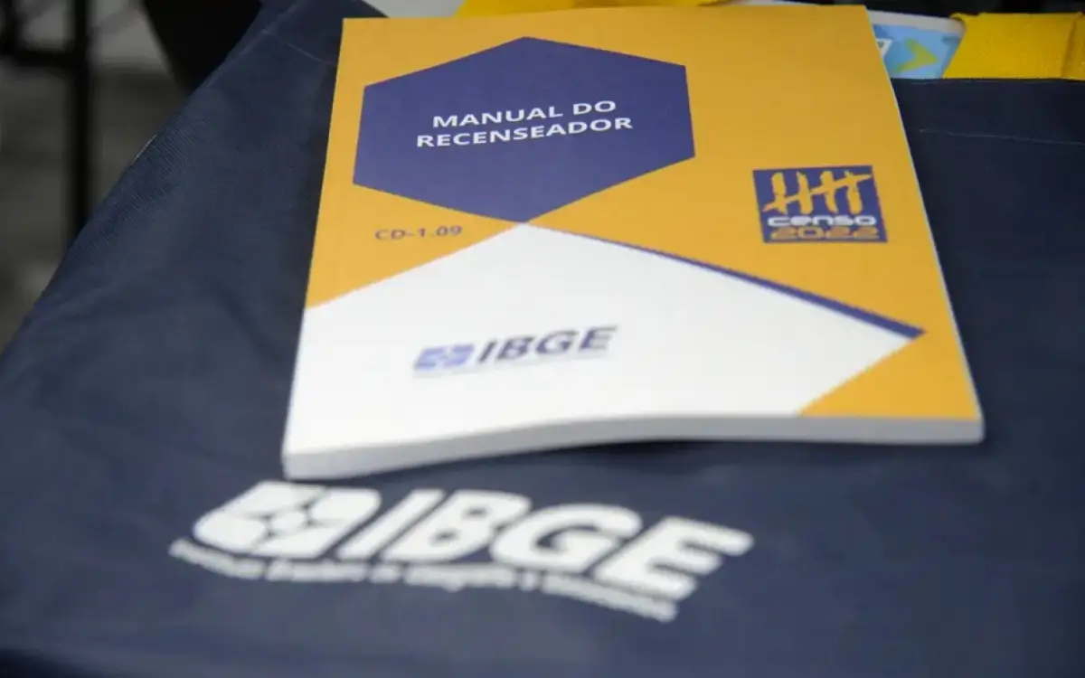 Manual do IBGE