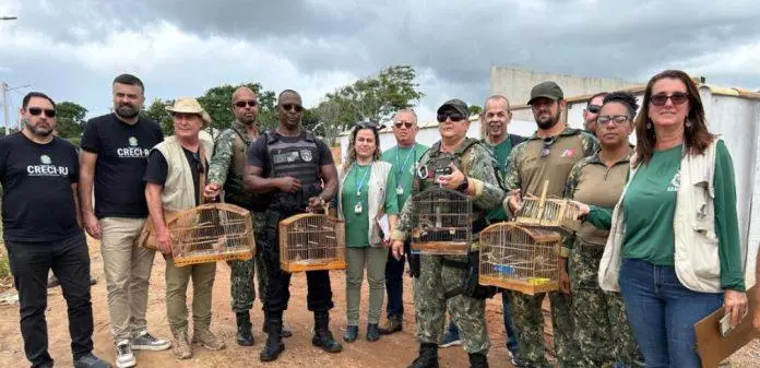 Prefeitura e órgãos parceiros resgataram e libertaram aves silvestres