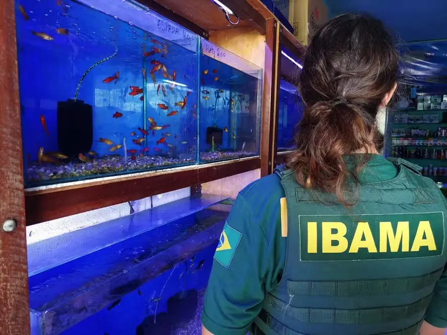 Servidor do Ibama