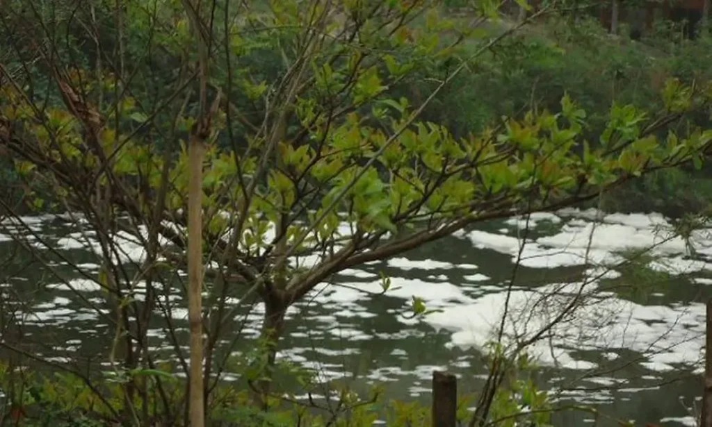 Rio Morto, no Recreio dos Bandeirantes