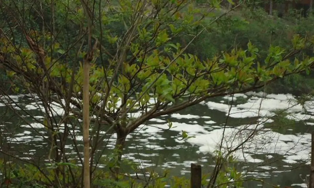 Rio Morto, no Recreio dos Bandeirantes