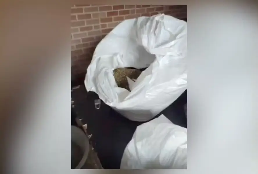 Drogas encontradas em operação na Maré