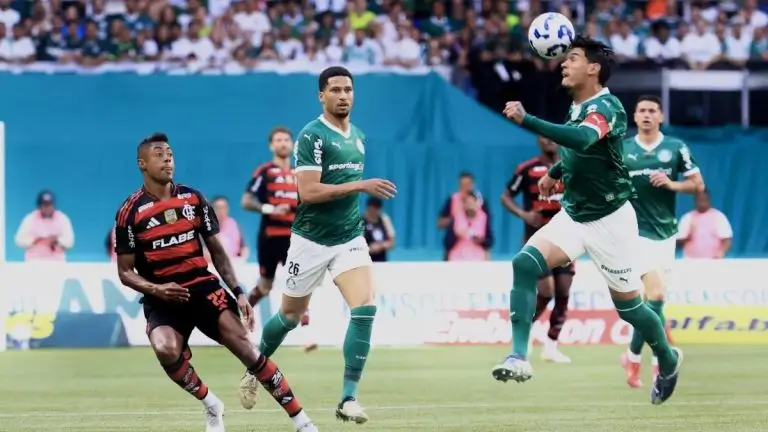 Flamengo e Palmeiras