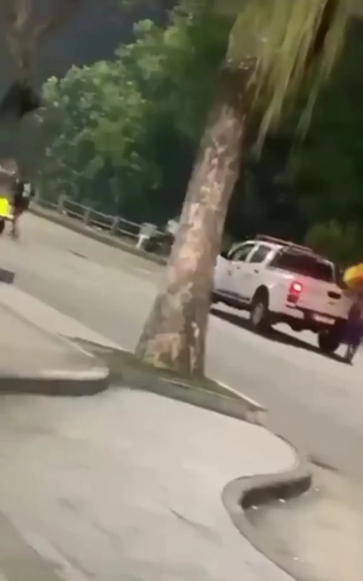 Homem Fugindo no Maracanã
