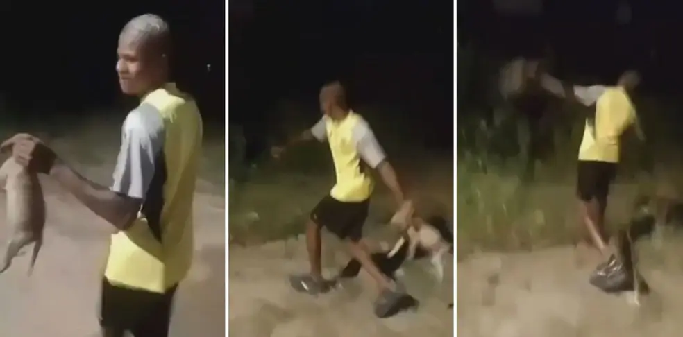 homem que jogou cachorro em Nova Iguaçu