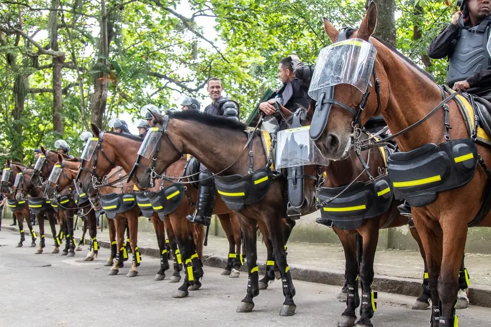 Cavalos de patrulhamento da PM