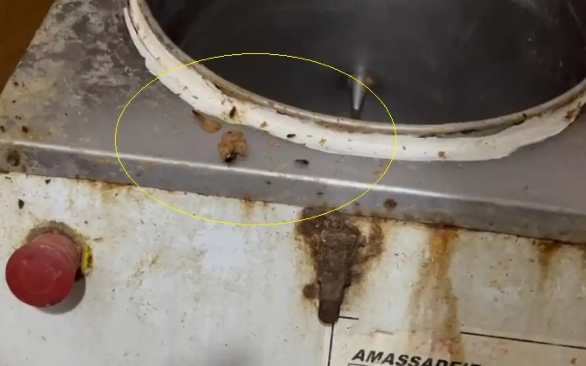 fábrica clandestina de salgados árabes