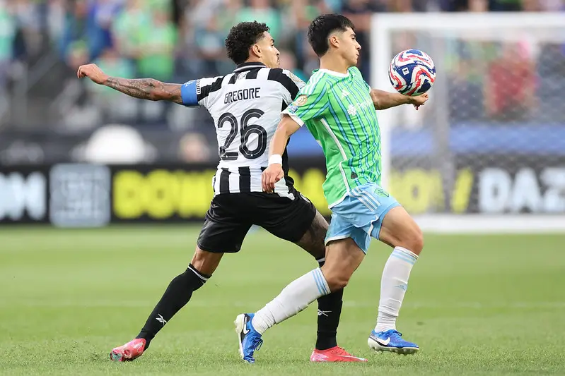 Gregore do Botafogo