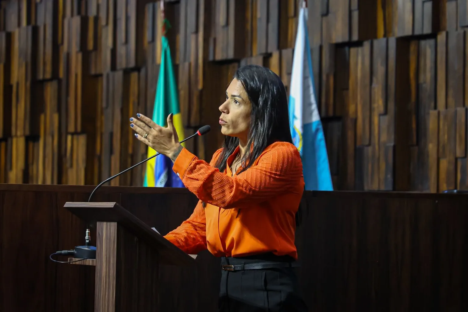 deputada Índia Armelau