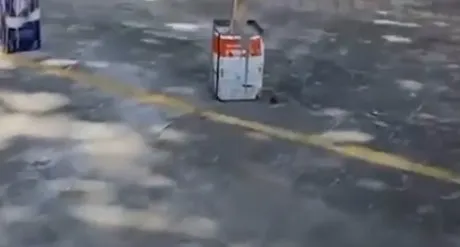 Traficante é preso em flagrante na Barra após jogar haxixe pela janela; vídeo mostra ação no condomínio de luxo.