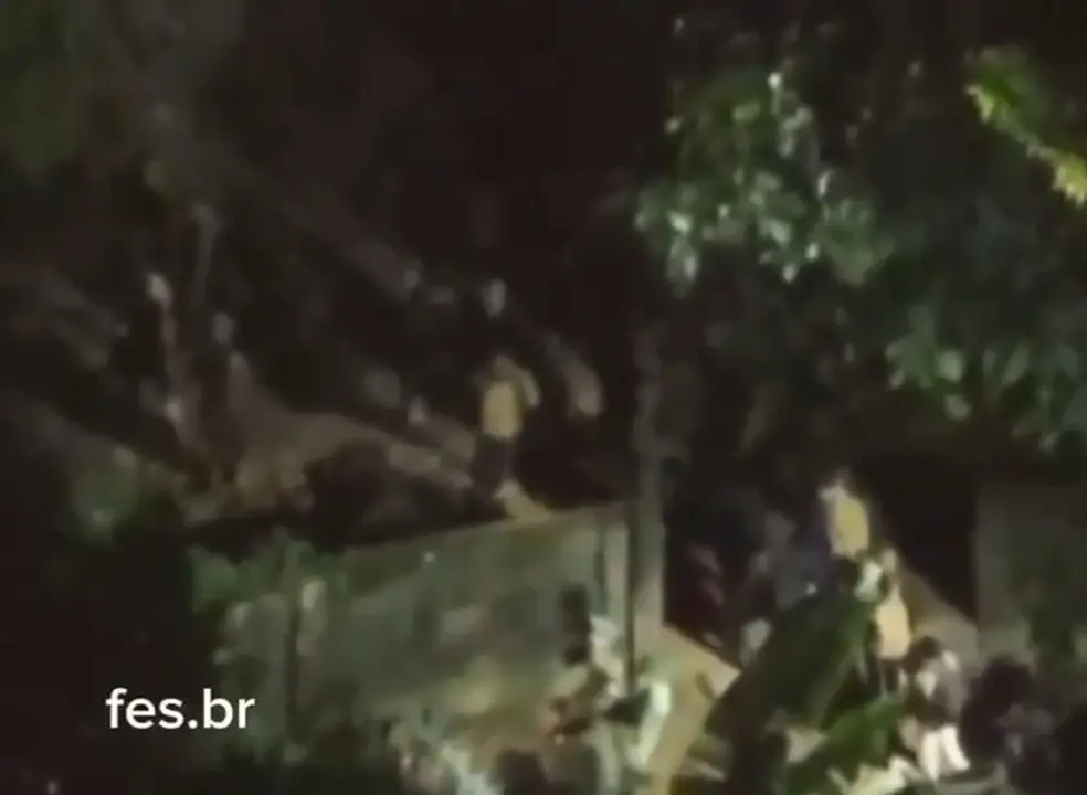 fuga de traficantes armados