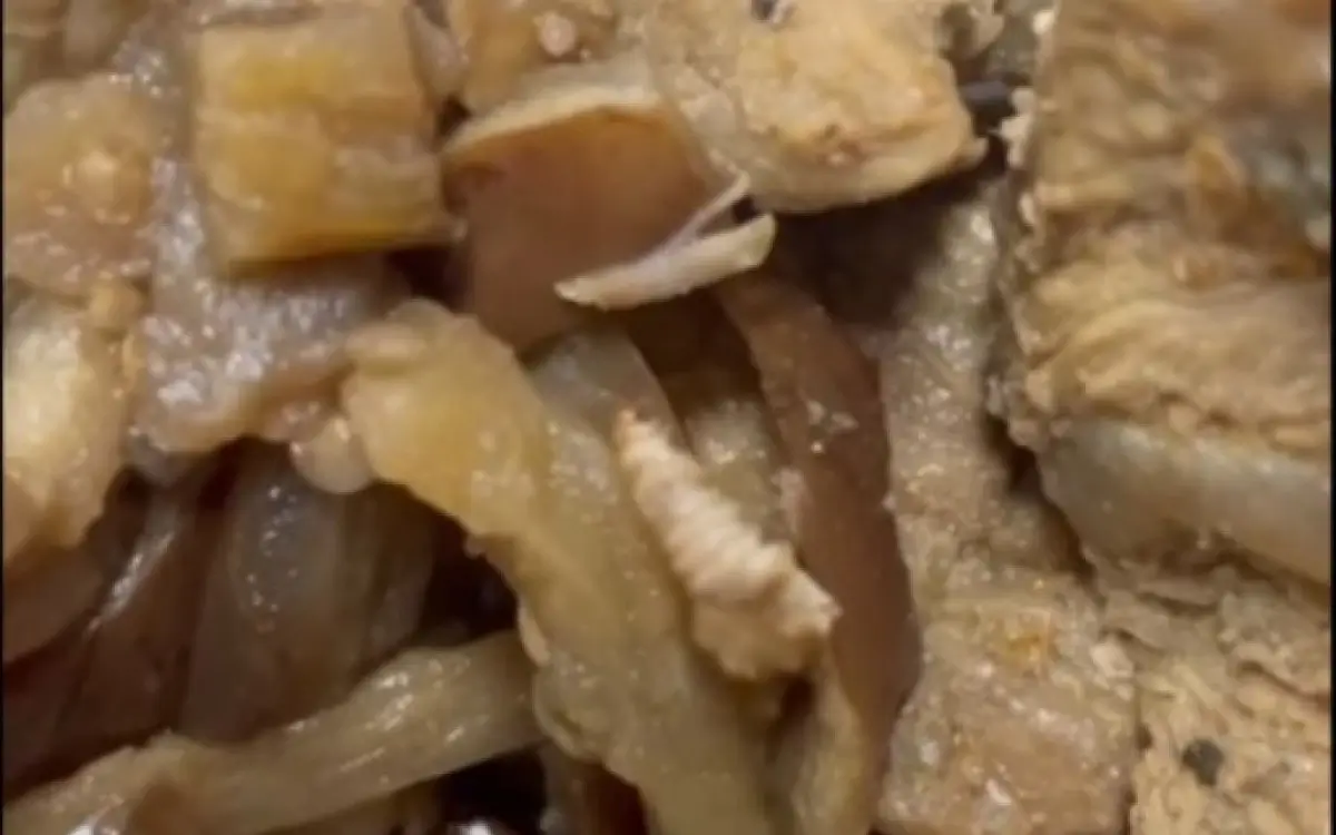 larva em comida de hospital