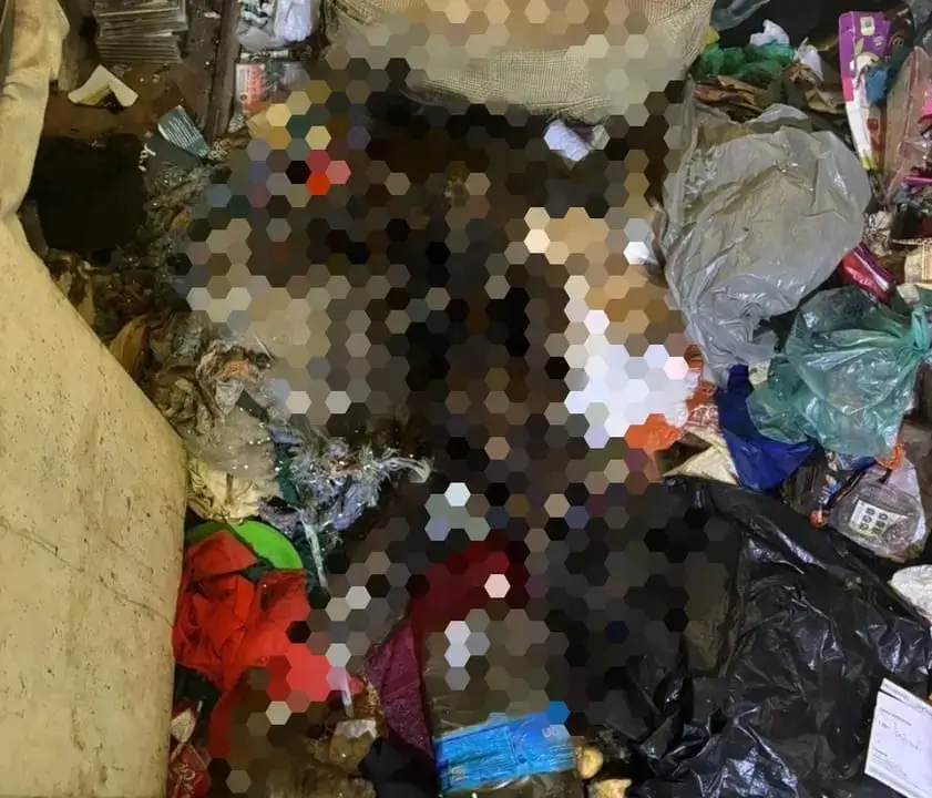 mãe e filho encontrados mortos