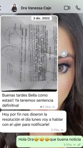 modelo denuncia construtor