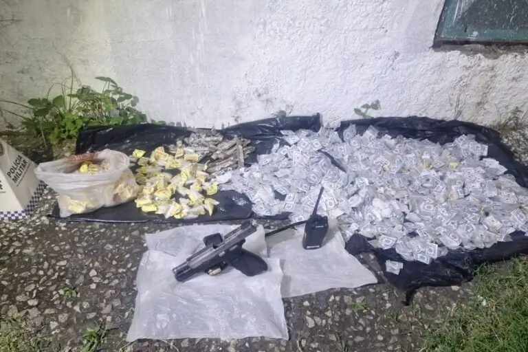 Drogas apreendidas pela polícia