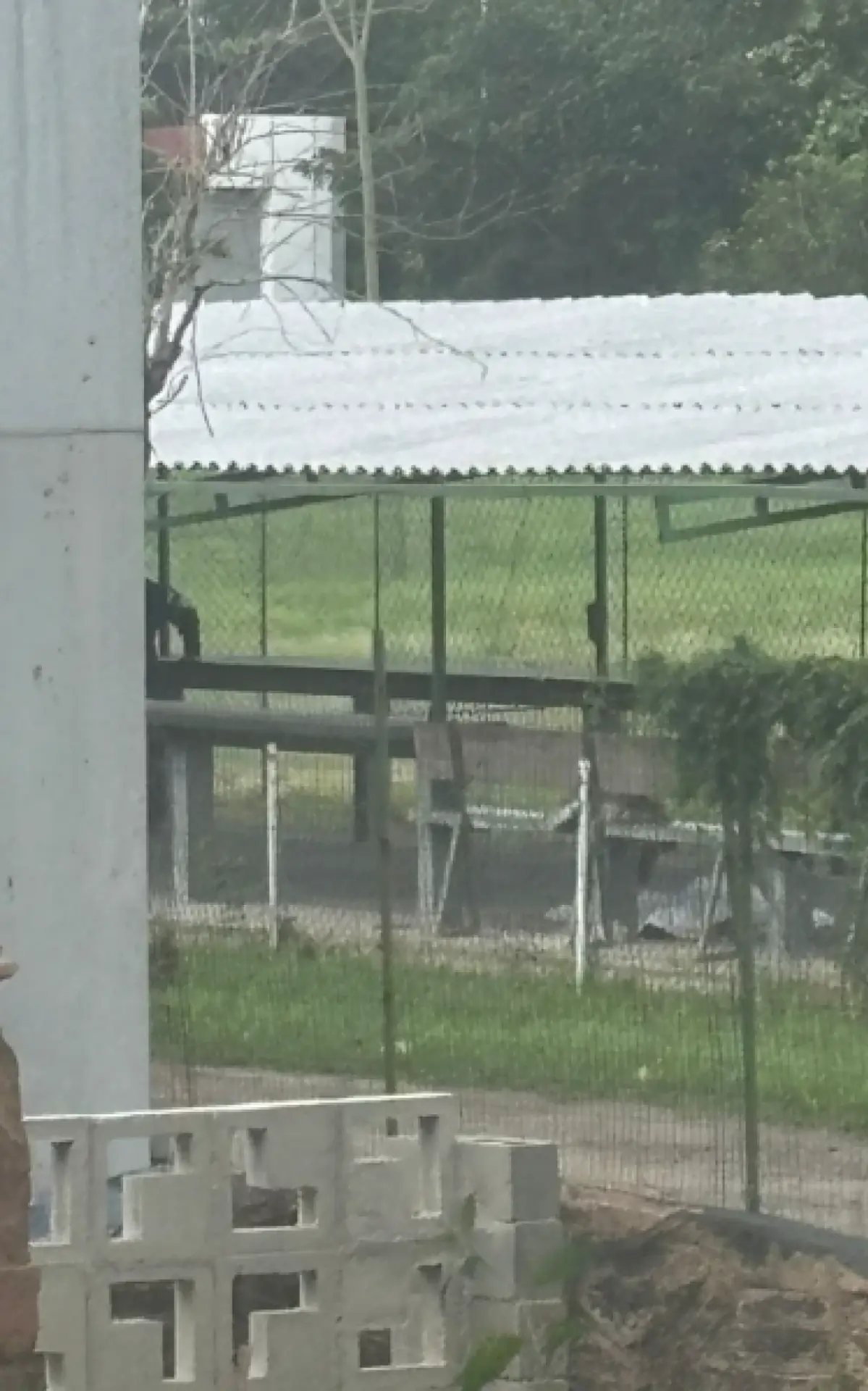 Corpo encontrado na UFRJ