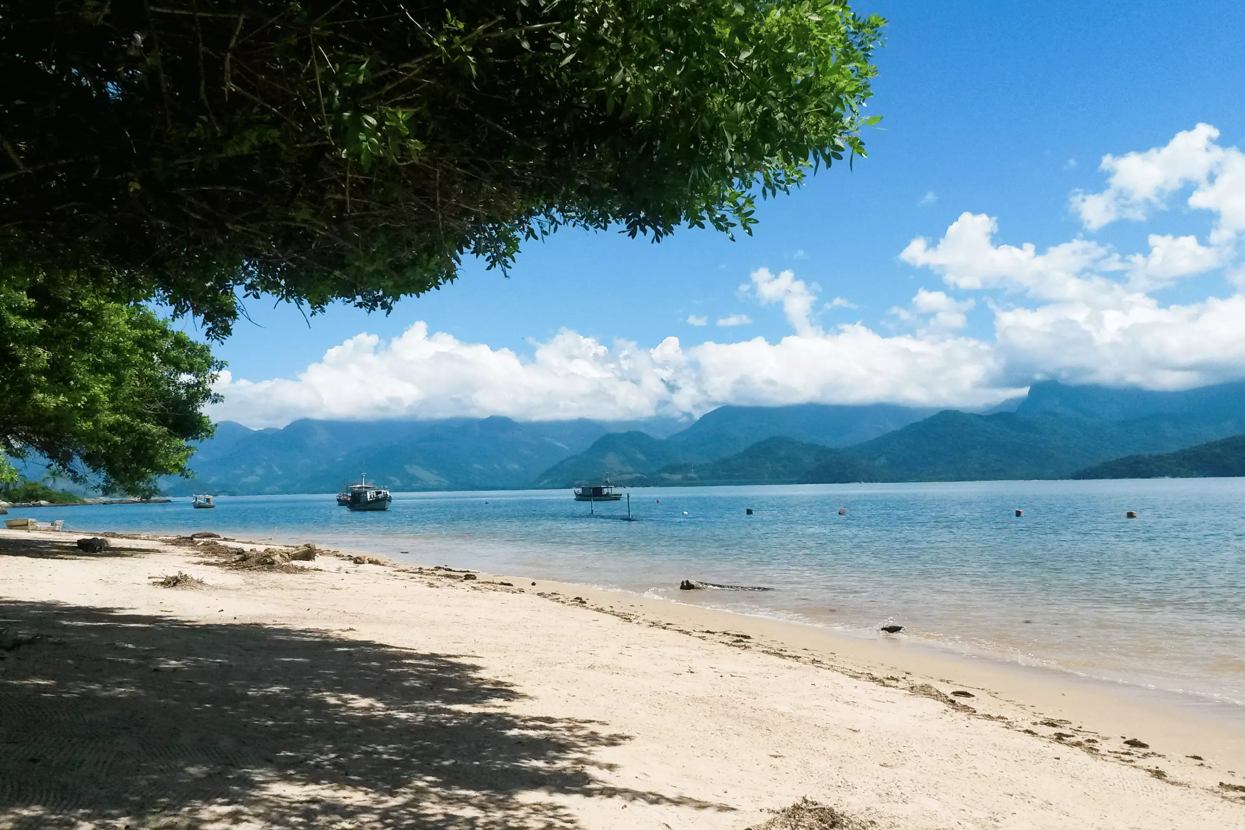 Ilha do Cedro em Paraty