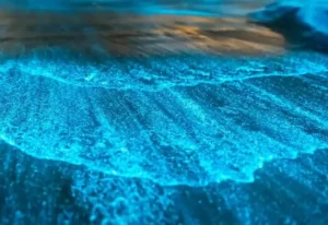 Microalgas iluminam a Lagoa Jacaroá