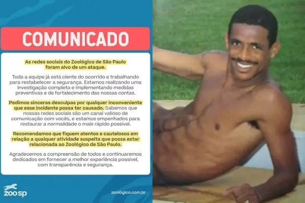Vampetaço