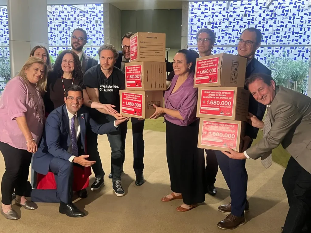 Deputados comemoram lei