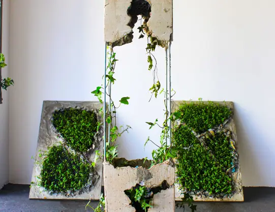 Um emaranhado de ruínas ao revés