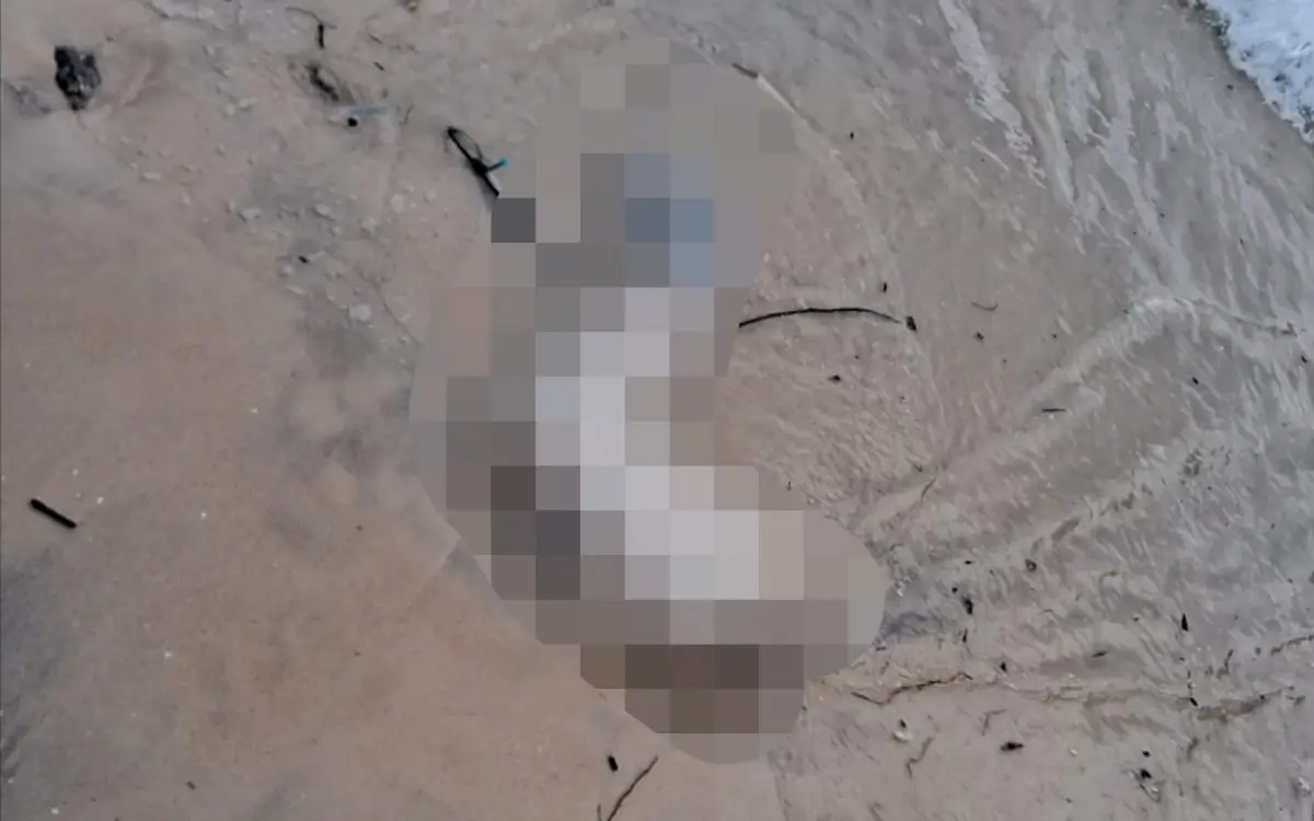 Perna humana é encontrada em praia de Niterói