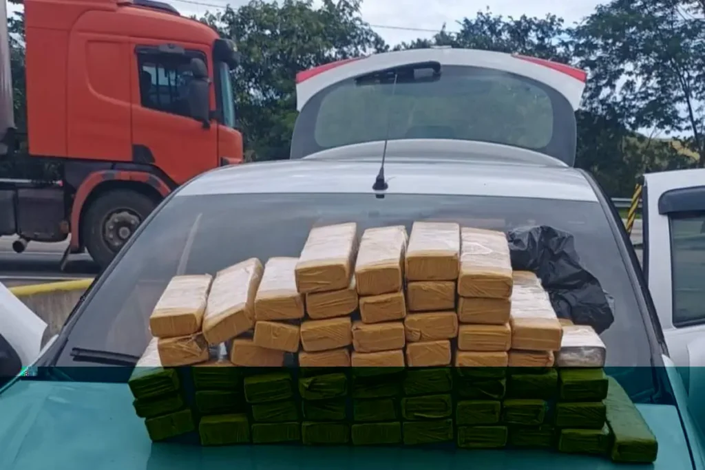 PRF prende homem com 50 kg de maconha na BR-101