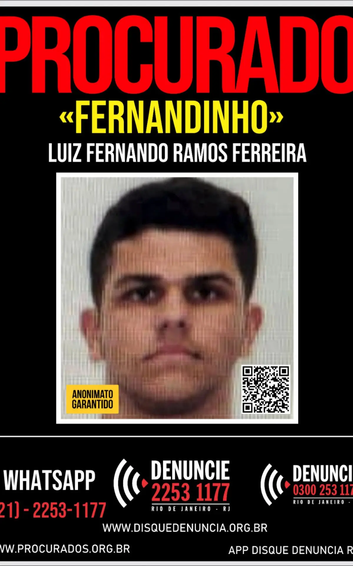 Luiz Fernando Ramos Ferreira