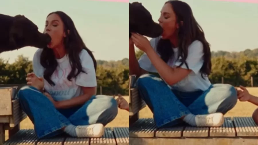 Vicky Pattison beija cachorro de língua