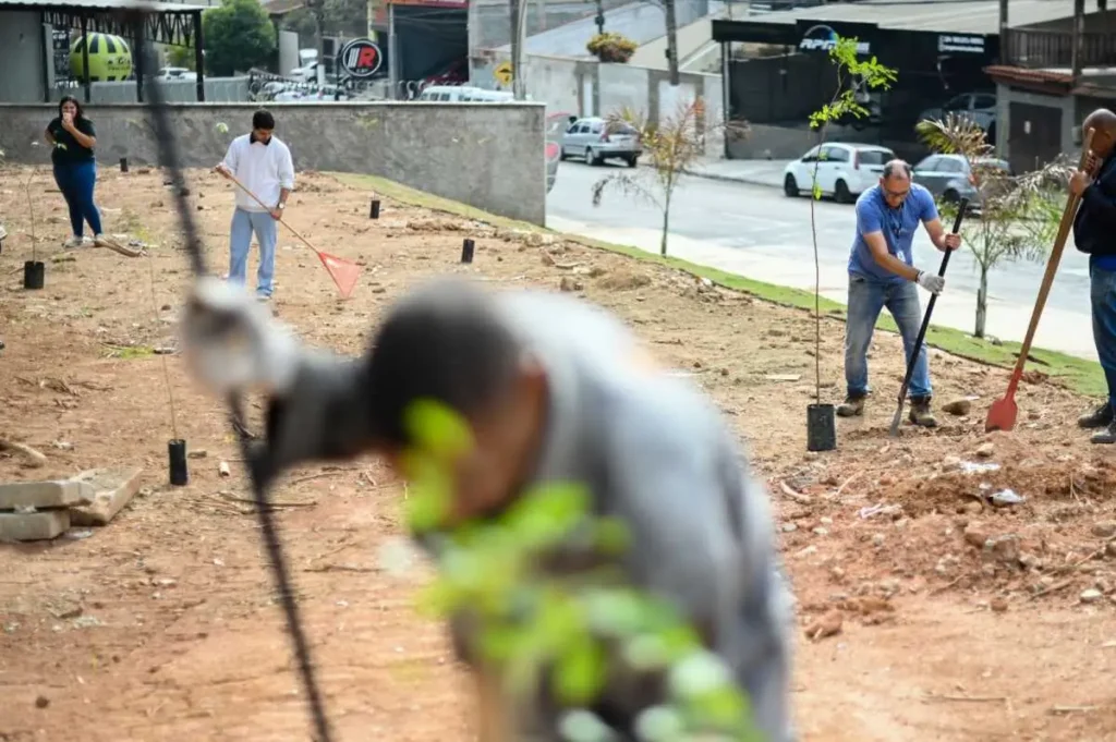 Avenida Albo Chiesse, em Barra Mansa, recebeu plantio de mais de 90 árvores.