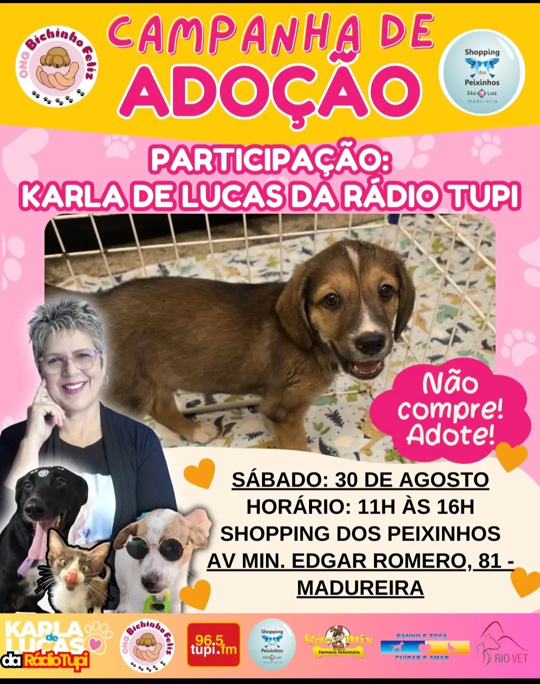 campanha de adoção