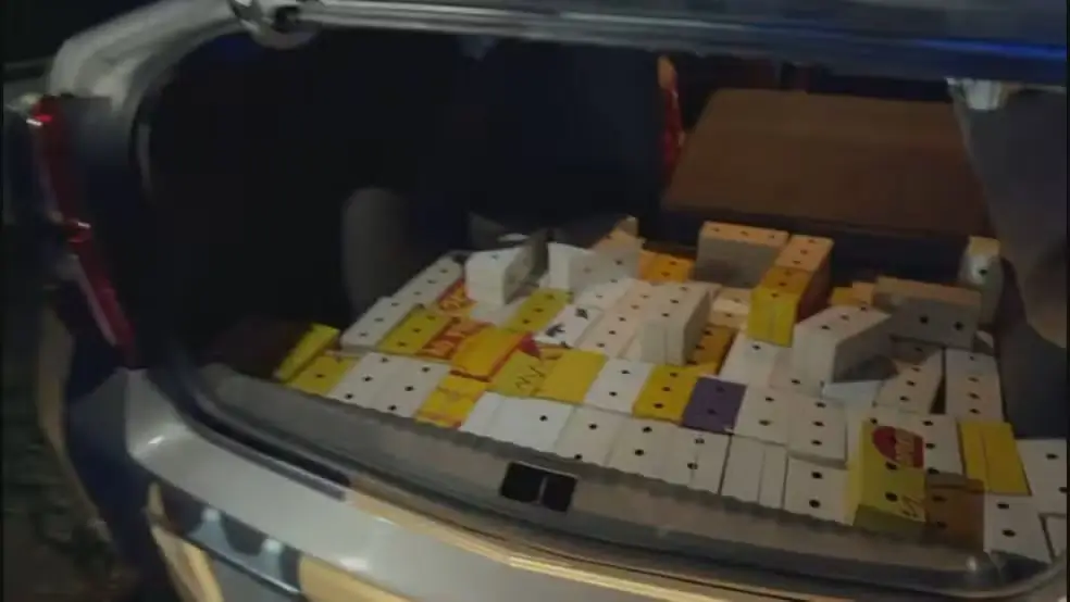 Aves transportadas em caixas na mala de carro