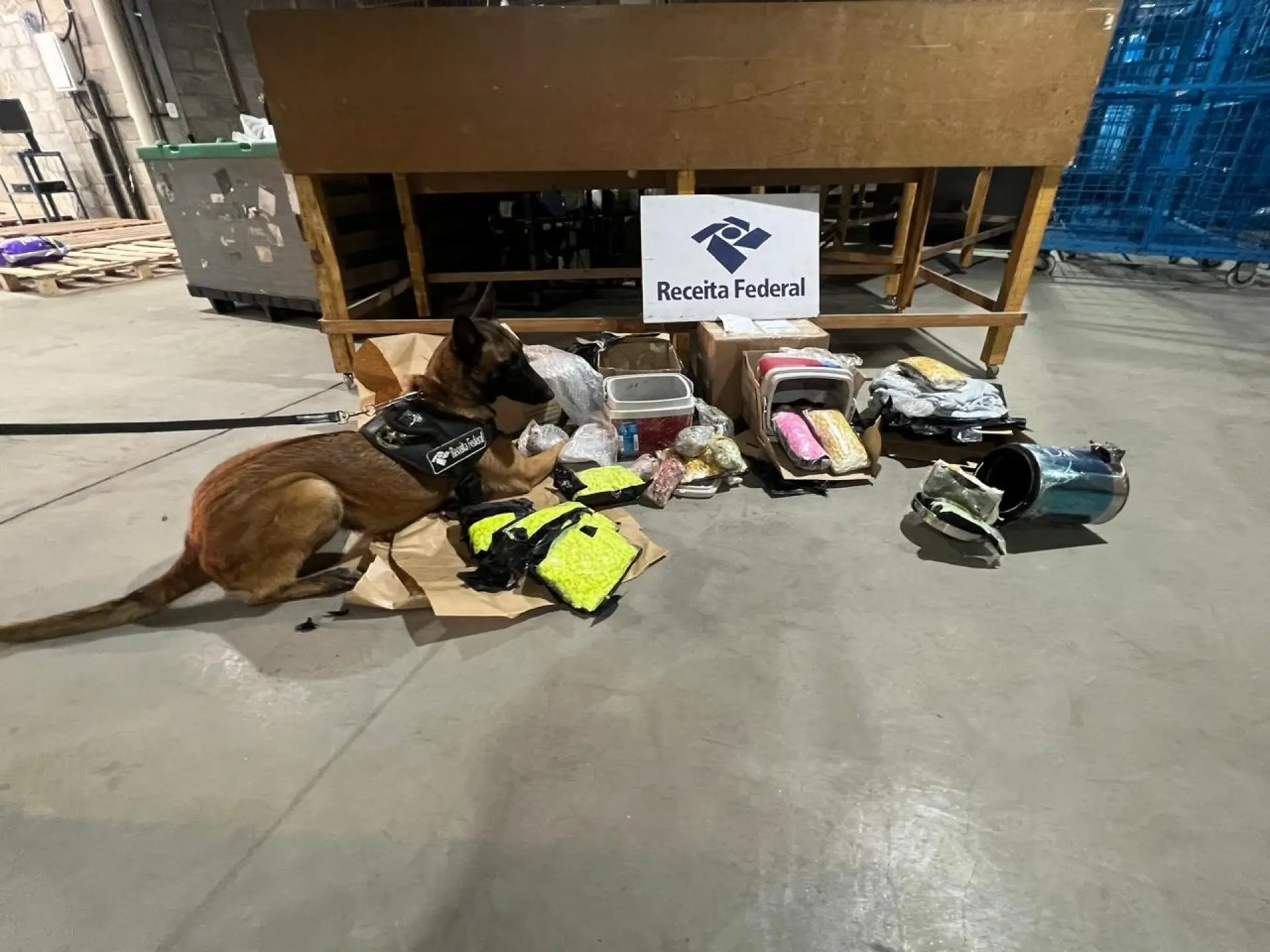 Cães de faro da Receita Federal