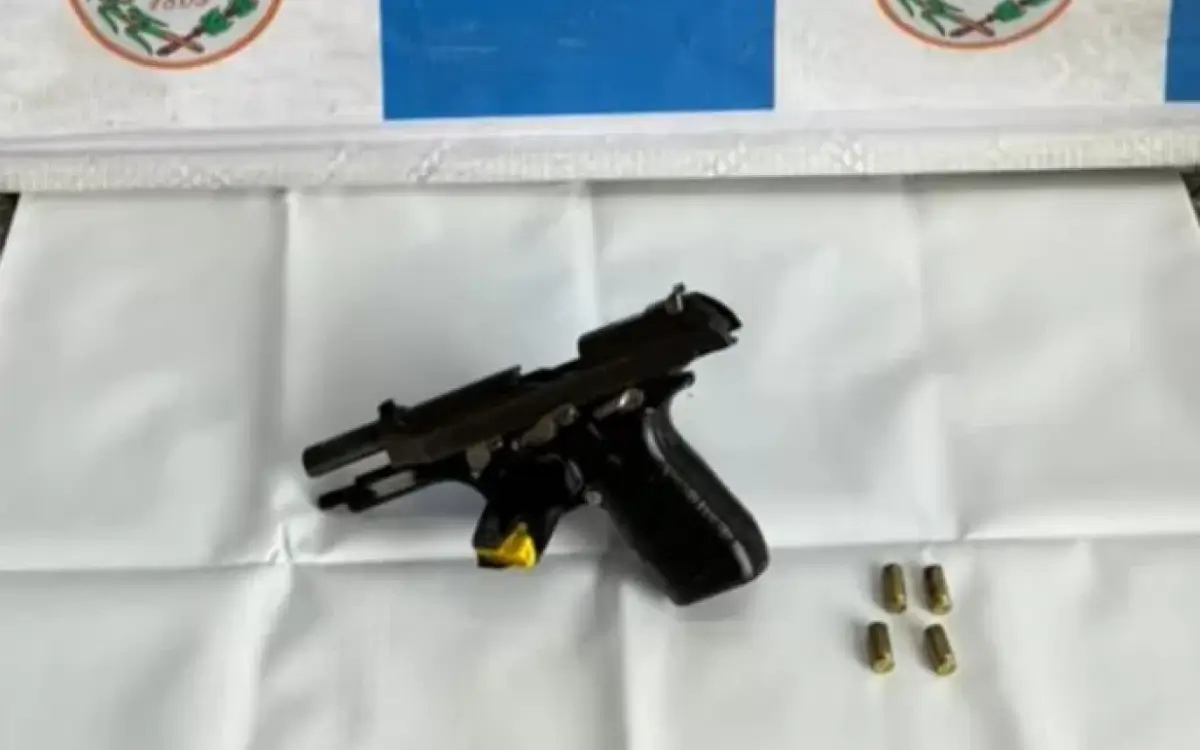 Armas apreendidas durante ação