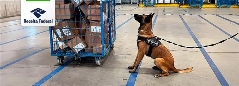cão de faro da Receita Federal